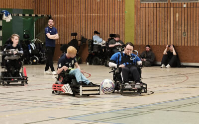 Wolves bleiben Tabellenführer